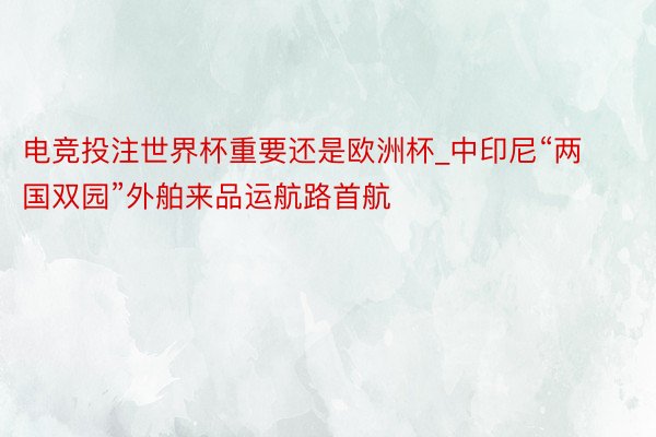 电竞投注世界杯重要还是欧洲杯_中印尼“两国双园”外舶来品运航路首航