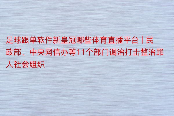 足球跟单软件新皇冠哪些体育直播平台 | 民政部、中央网信办等11个部门调治打击整治罪人社会组织